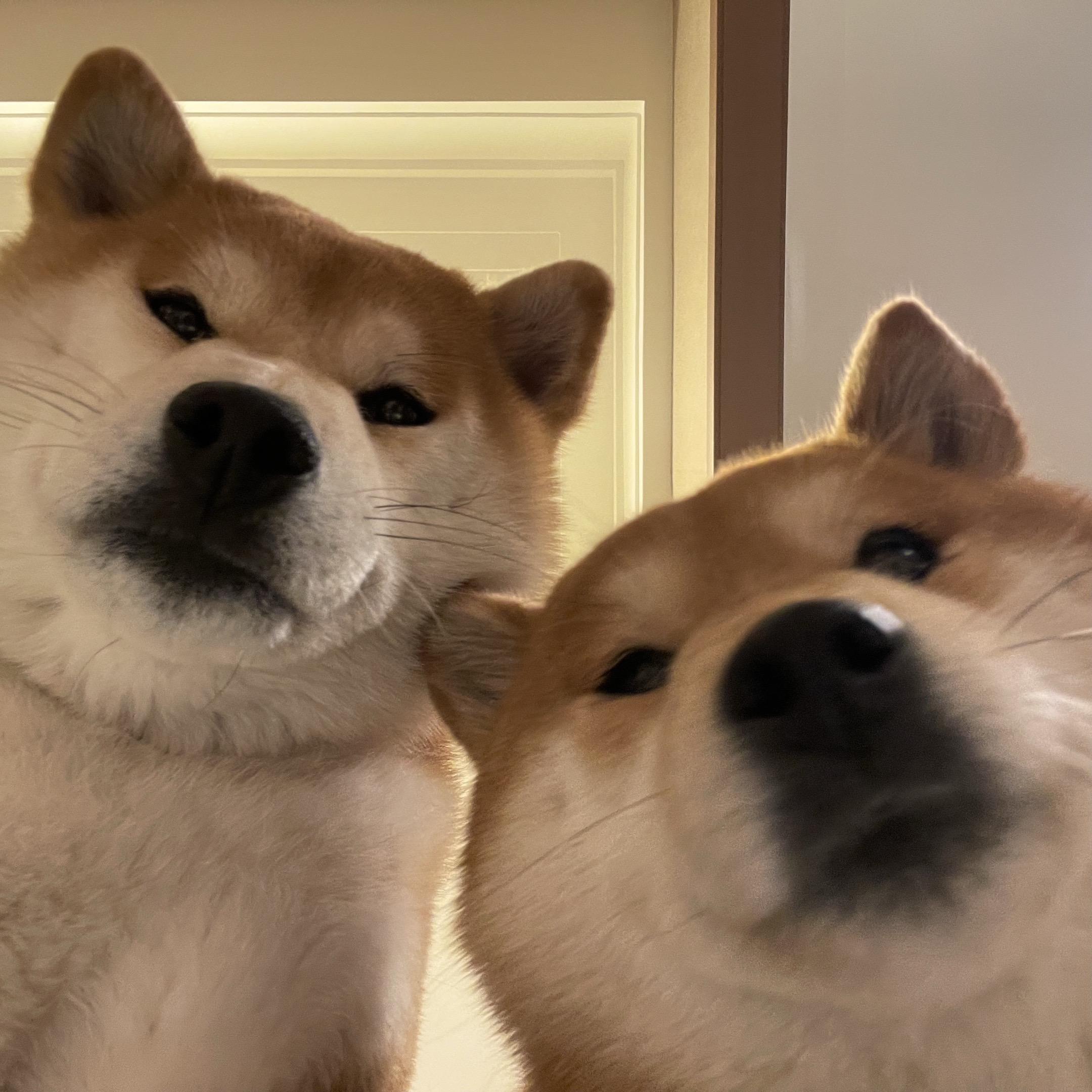 人，你放假回来了。