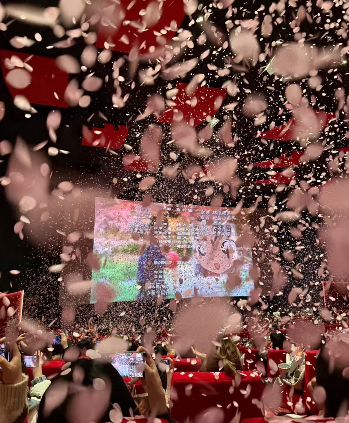 年末大银幕的浪漫是柯南给的 🌸 原来你也是柯南脑袋  555555很开心你也是