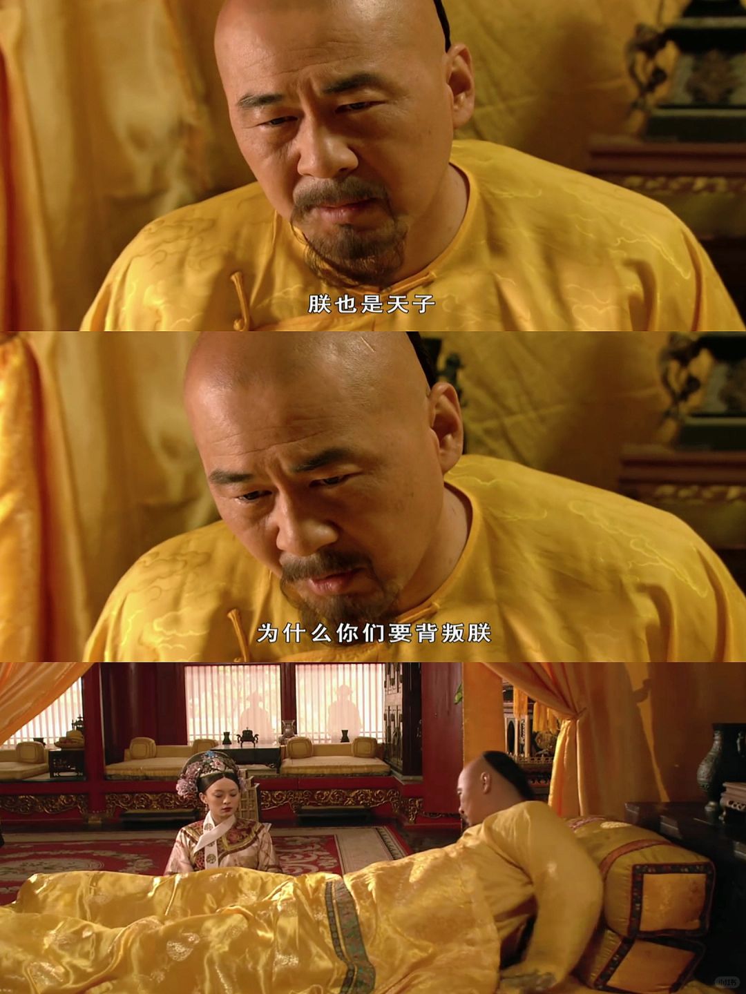 大胖橘最终丧命的真相令人心酸～