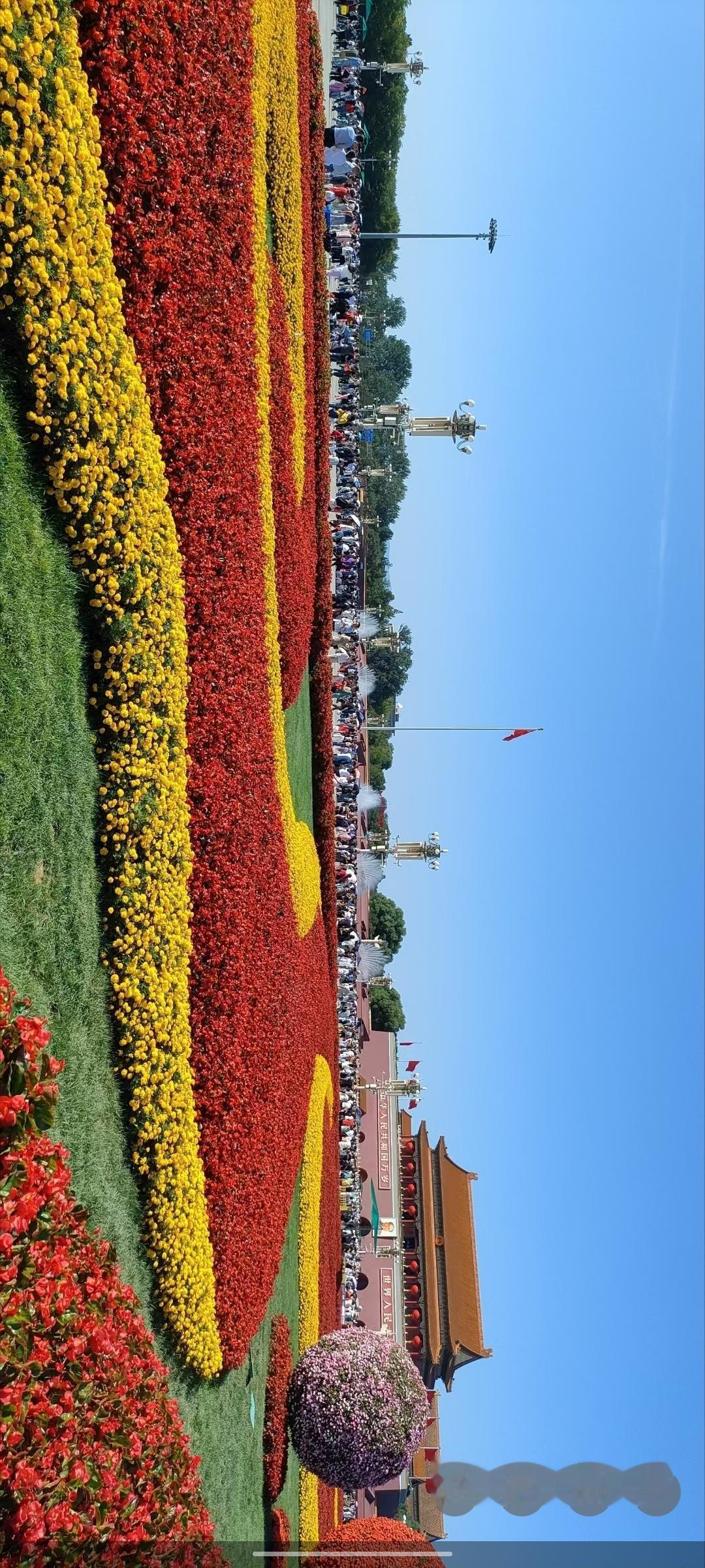 打卡天安门广场，花海人潮，美不胜收！🌸📸