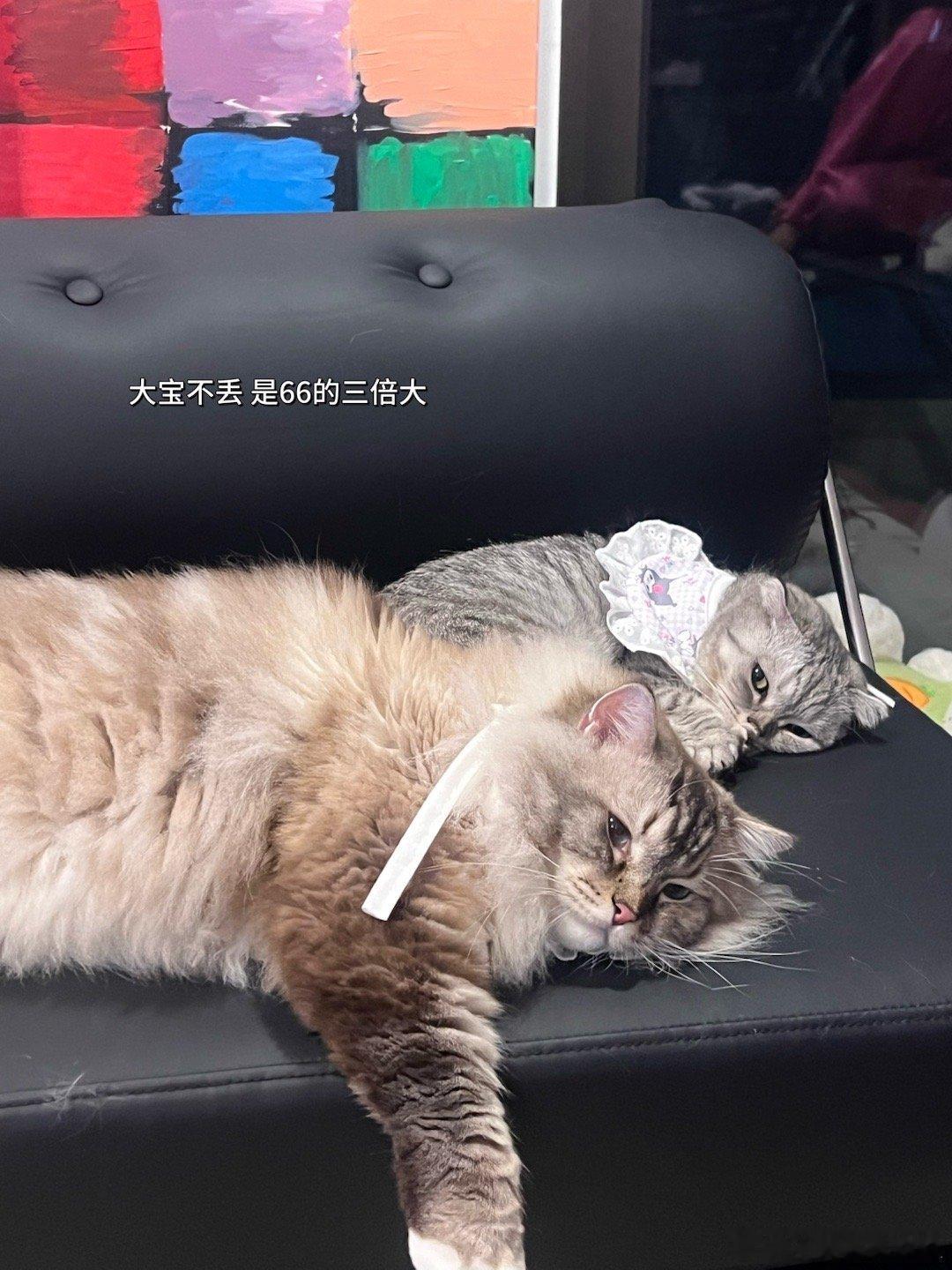 看图说话💬日常碎片plog[超话] ​​​