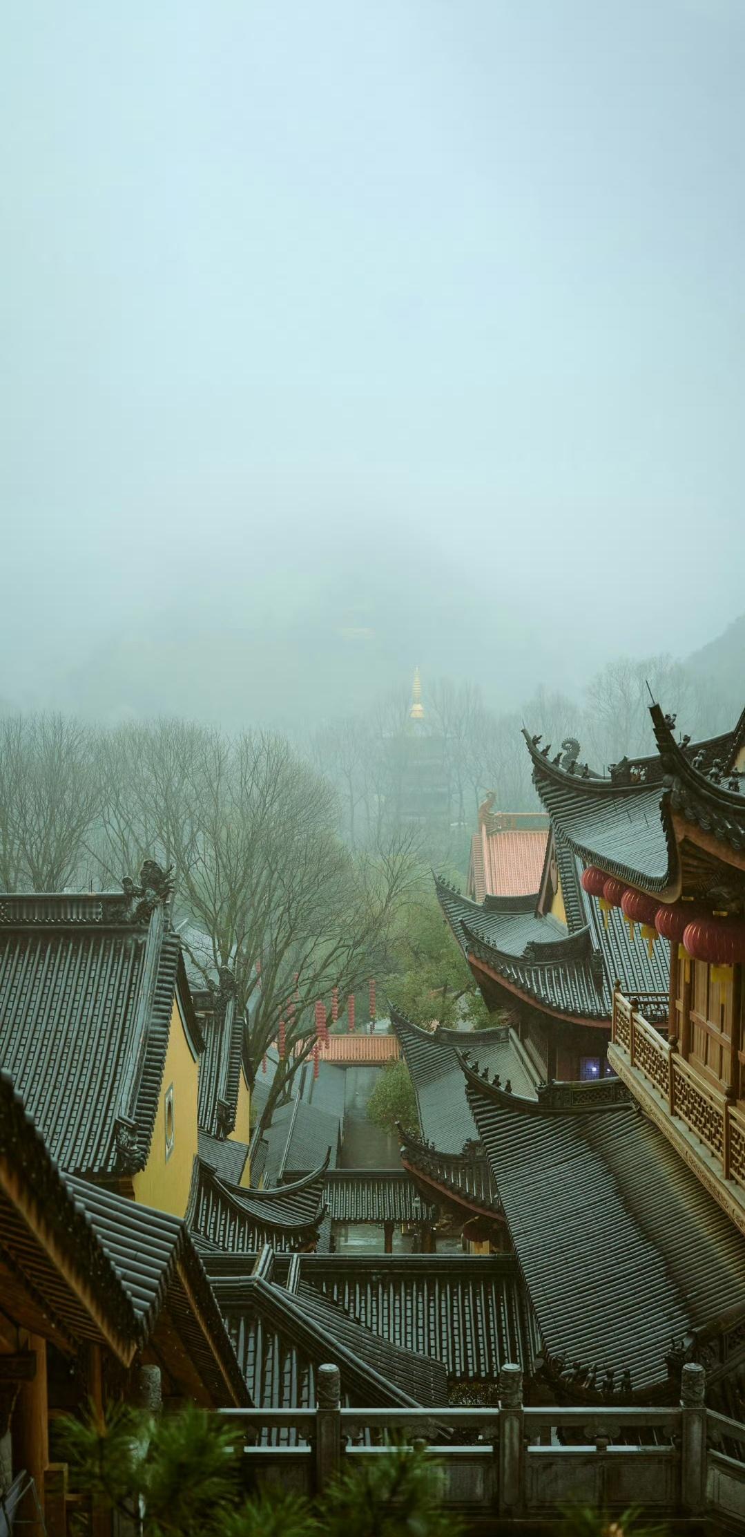 分享图片 