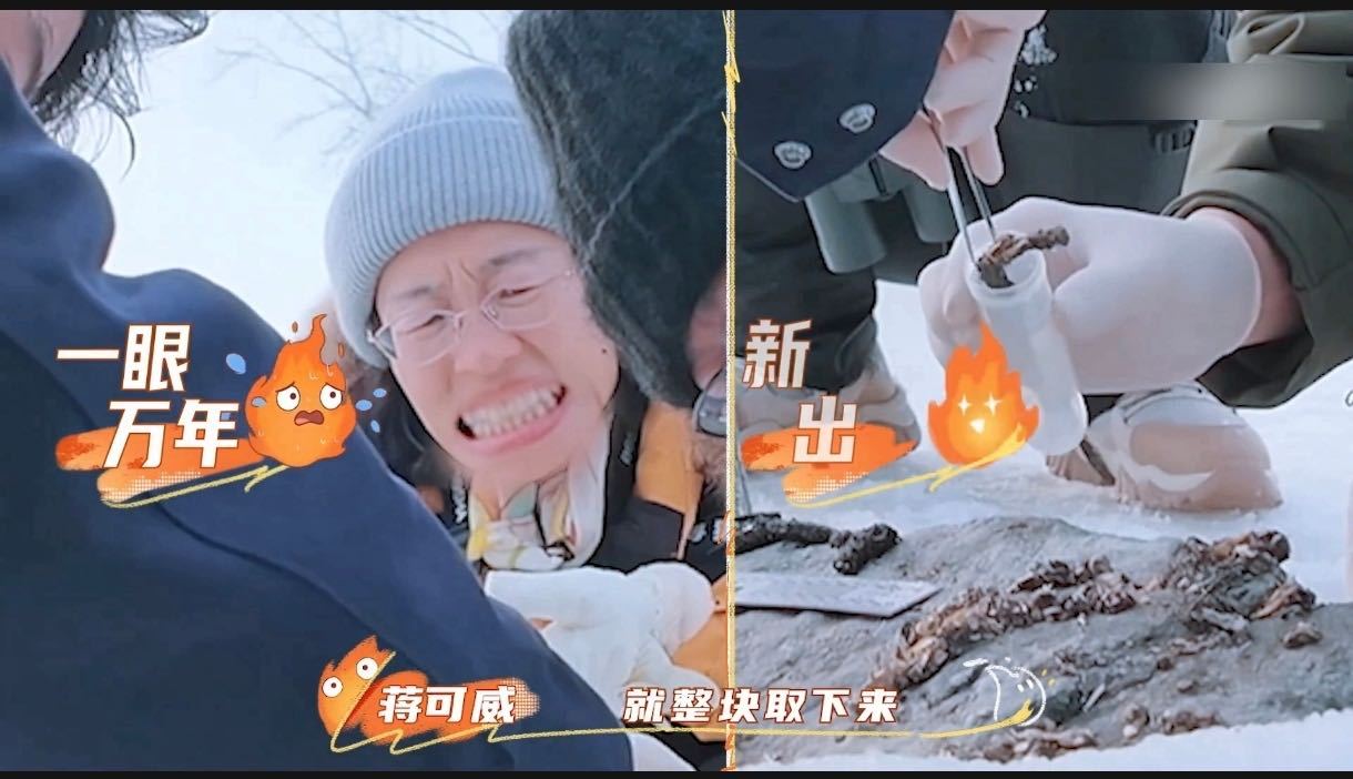 阿勒泰欧亚水獭寻踪记欧亚水獭的灵动身影，是阿勒泰生态环境向好的生动注脚。它们在水