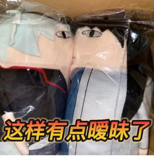 银魂 开箱就看见银桂亲了