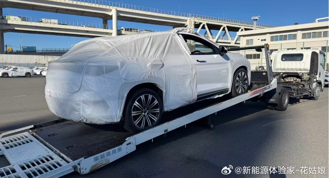 日本租车公司首次破圈选比亚迪！50台批量采购，本土车企慌了？1月比亚迪在日本销量