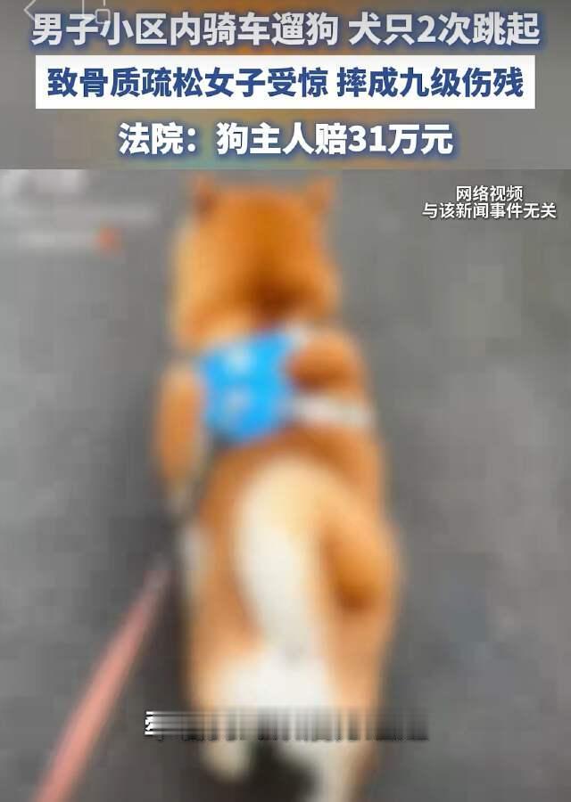 北京，刘女士和丈夫正在小区散步，包先生骑着车遛狗从二人旁边经过，包先生的狗突然两