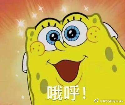 从西溪划到阿诺河的龙舟多样传统文化作品成功出海收获好评🌍，鲜活展现独树一帜的东