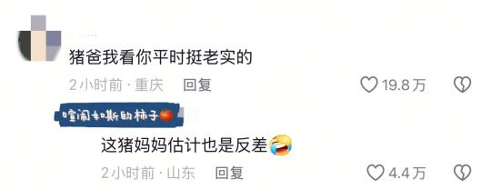 猪爸爸，你平时挺老实的！