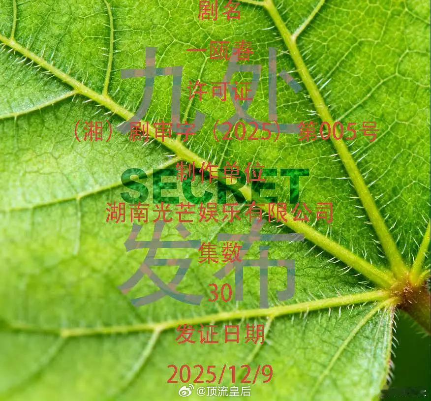 恭喜许凯一瓯春过审下证、期待早日播出呀。