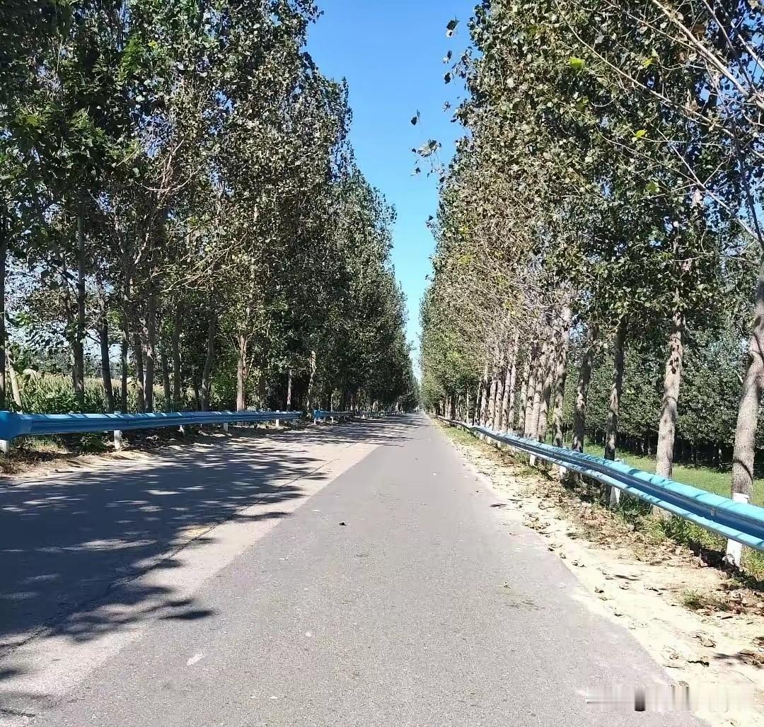 昨天和丈夫发生了激烈争执，原因是他大嫂做手术住院，大嫂的家人来探望，但婆家没有人