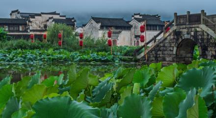 今天咱们不整那些虚头巴脑的，就实打实地聊一所被很多人低估的好学校——安徽工业大学
