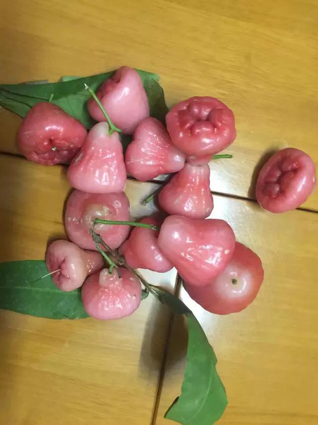 世界上最难吃的八大水果，没有之一，不服来辩。

一莲雾
莲雾真的是表里不一，中看