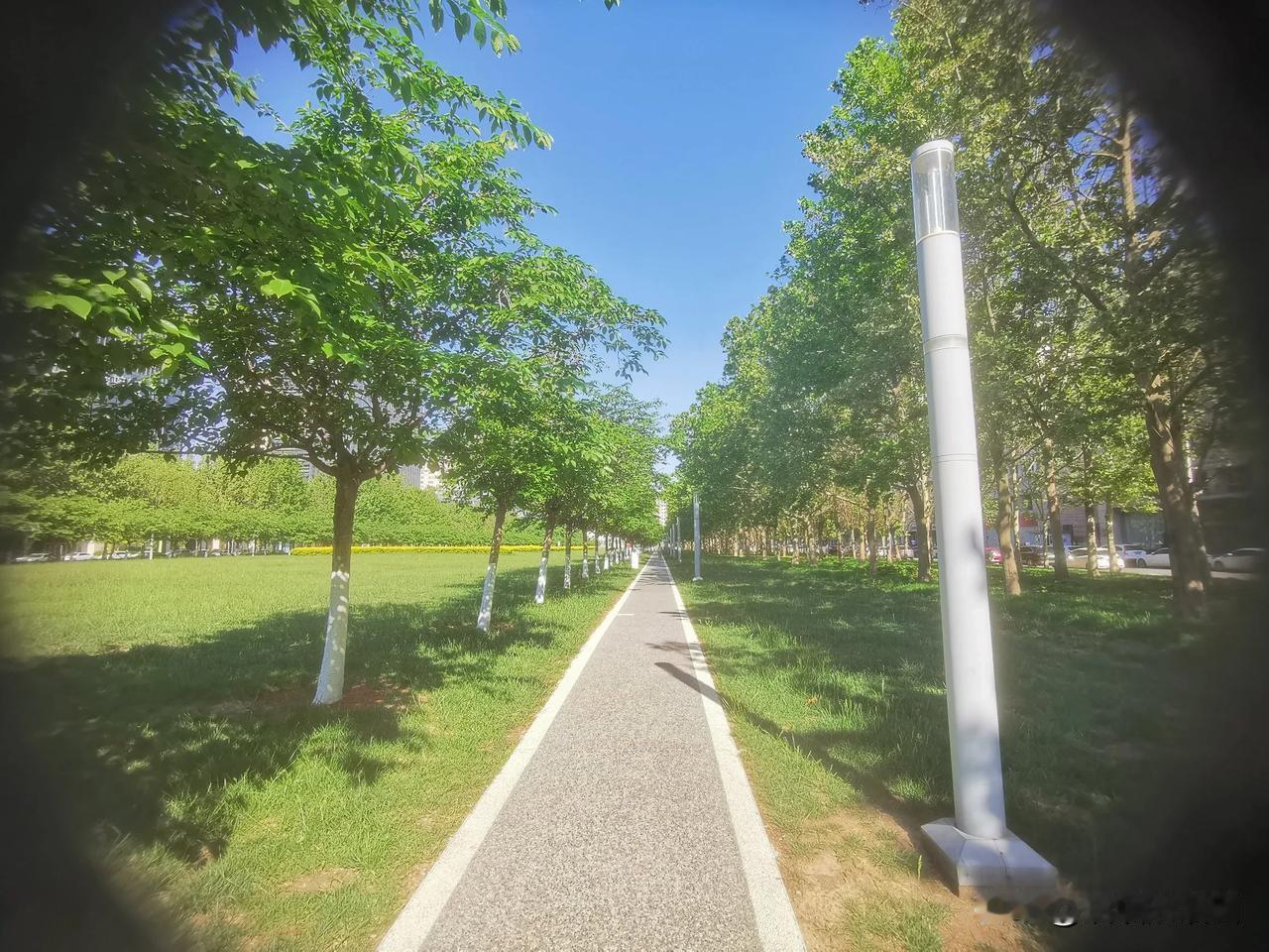 春日生活打卡，
绿荫林间小路，
湛蓝天空白云，
清湖绿水两岸！