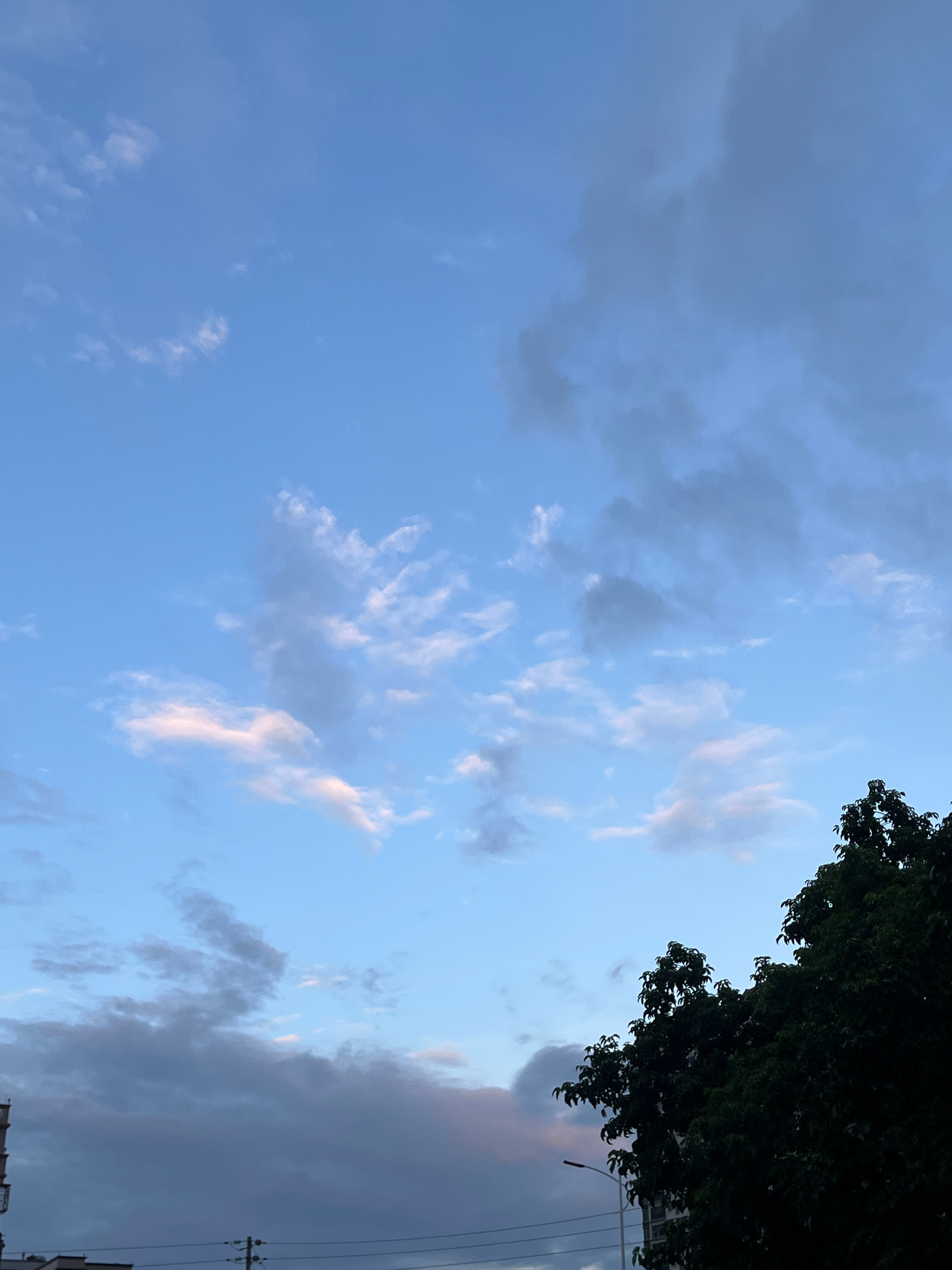 早安，愿你的笑容如阳光般灿烂，生活如诗如画。 ​​​