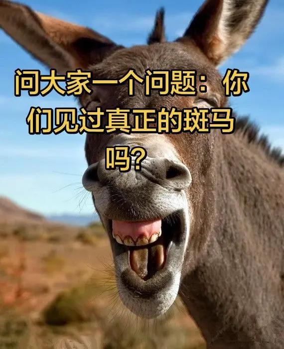 问大家一个问题：你们见过真正的斑马吗？