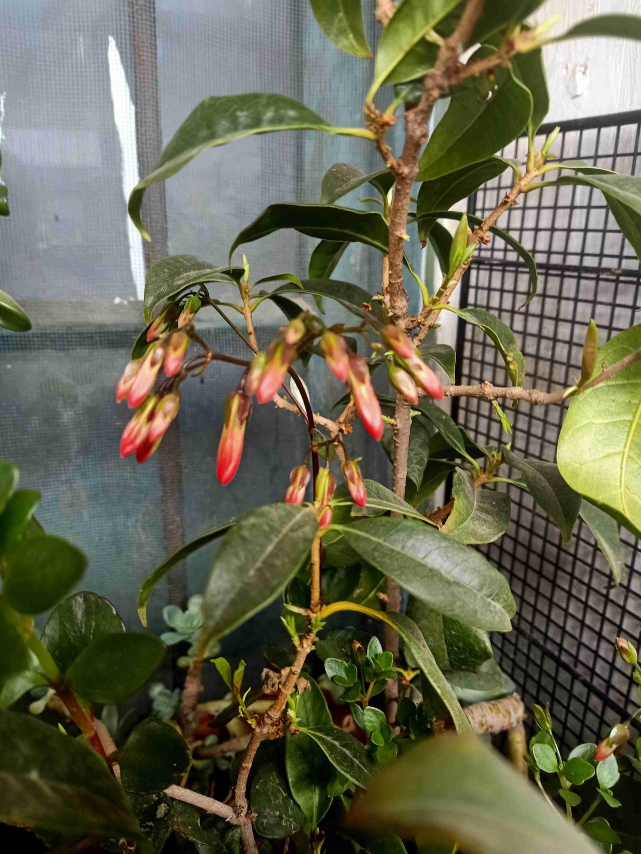 我的今日状态：😁轻松愉快
我这里的天气：🌤️多云