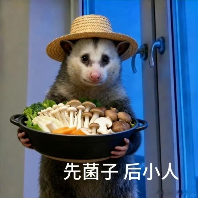 听说马上就有什么朋友圈浏览记录，不知道真的假的传了好多年，我也长大了，已完成了从