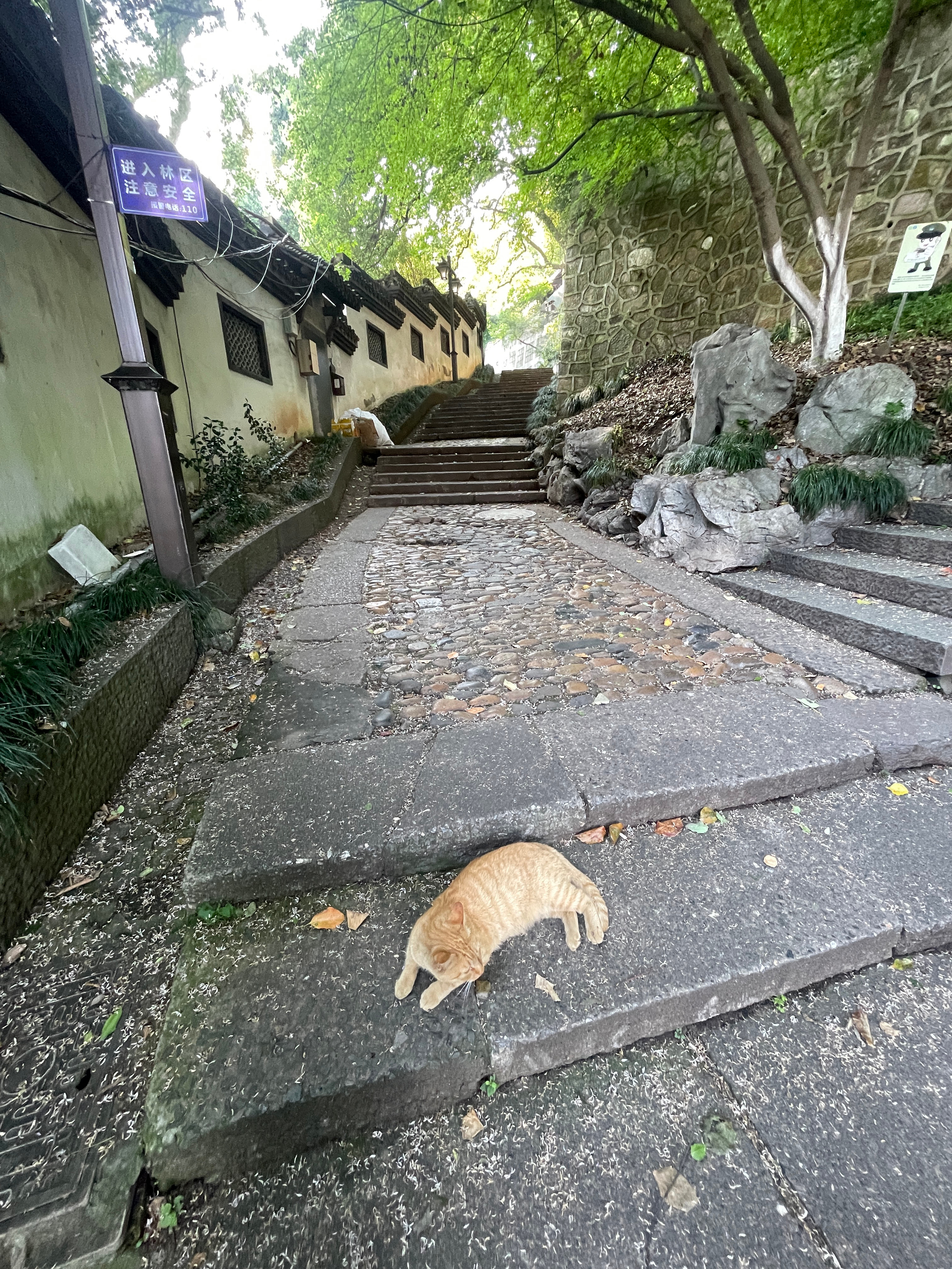 拍到蓝调时刻捏 ​​​