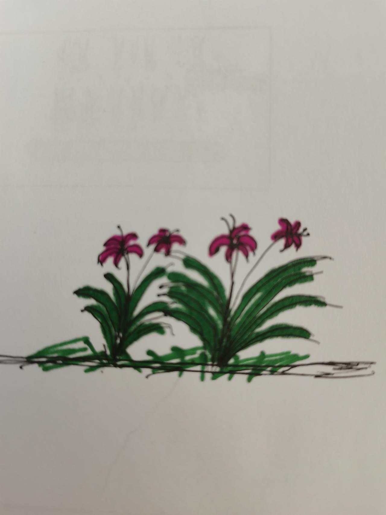 真心话茶局其实在家里，用五分钟，画一张画，也很舒服。下面是我画的兰花，就是北京大