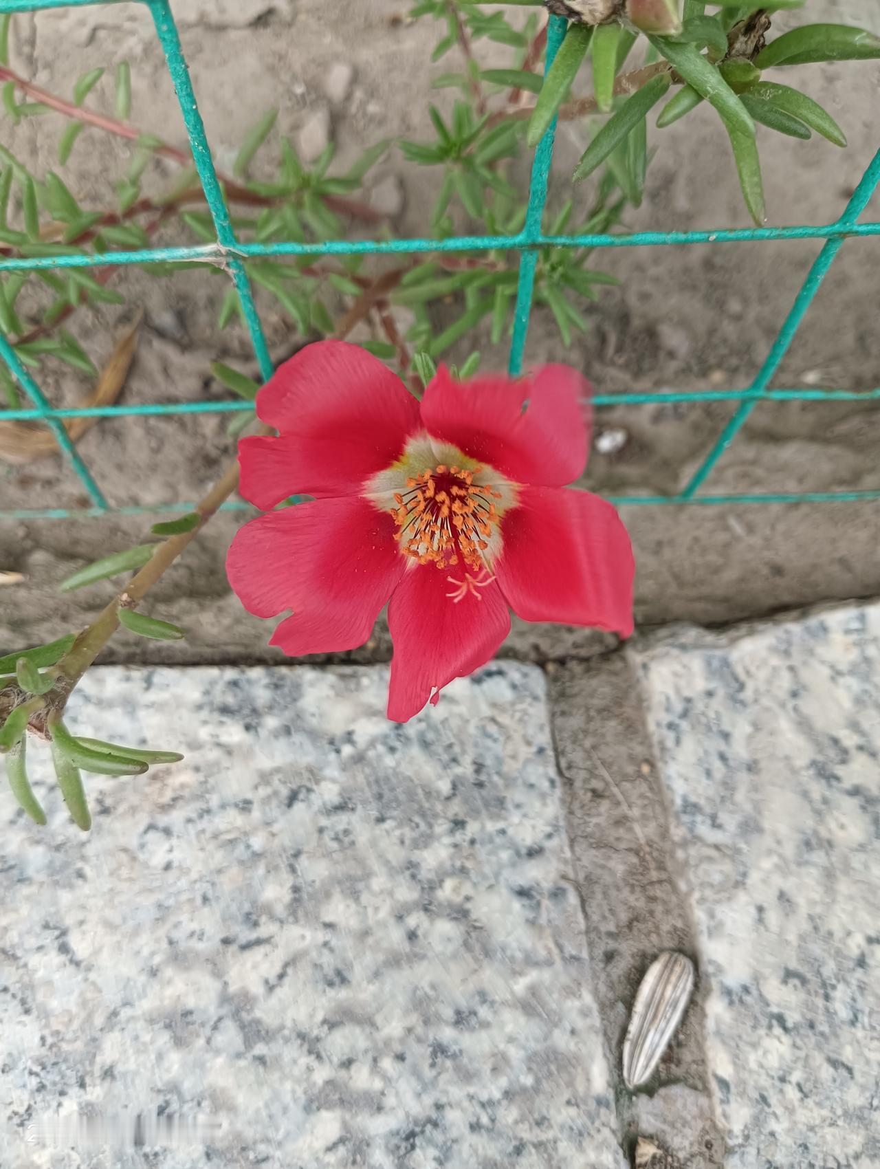 内向人最讨厌听到哪些话?你喜欢在饭桌上提祝酒词吗？单位团建，原本是为了吃喝而来，