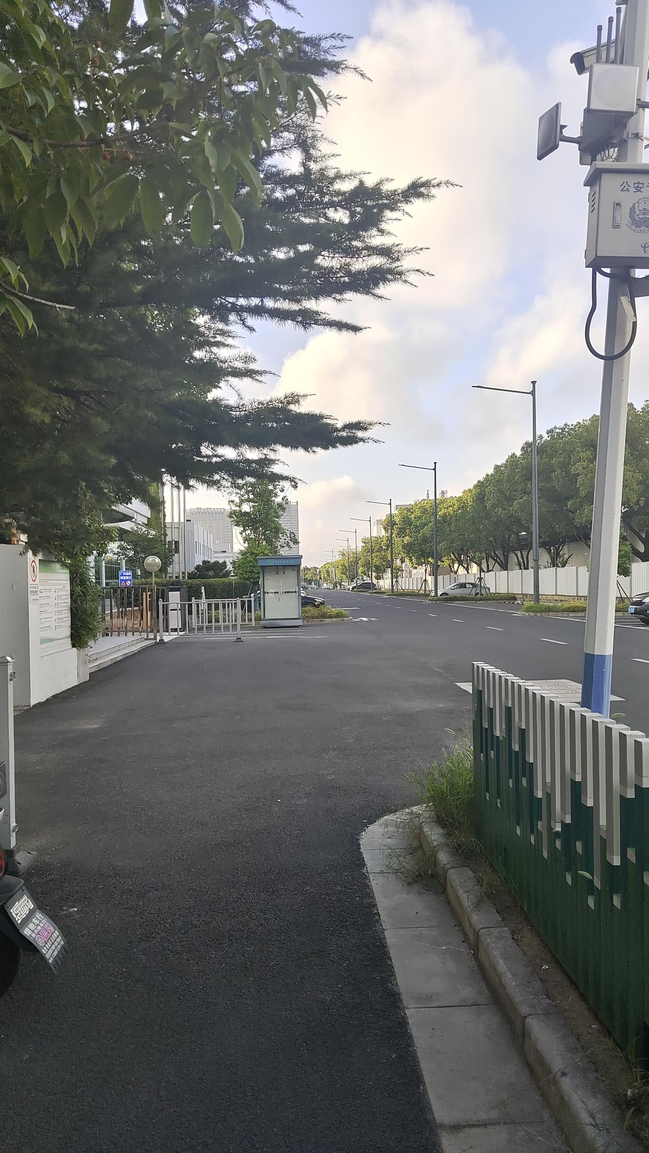 立秋过后，暑气逐渐消退，现在早晚很凉快，早上骑电动车，微风吹在身上已经很凉爽，晚