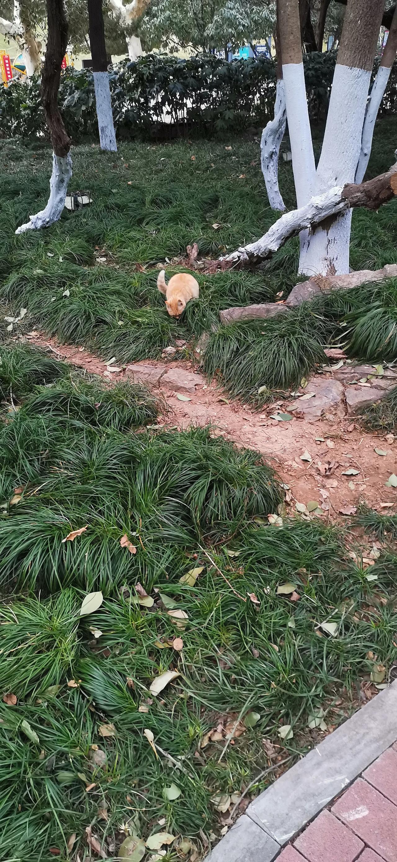 分享一组手机里照片