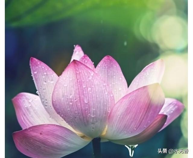 今早刷到一帖子小文：其实人闲着的时候不用吃太多饭，一天一顿就行，因为闲人都是吃饱