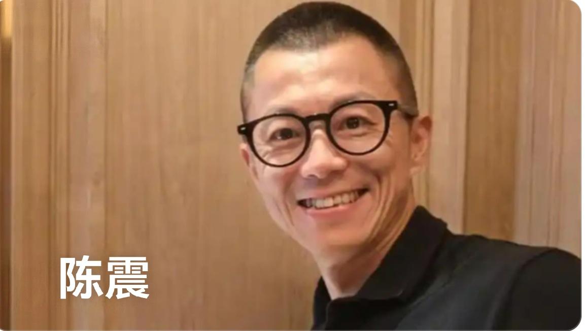 网络车评人陈震2021至2023年通过隐匿收入等方式偷税118.67万元，202