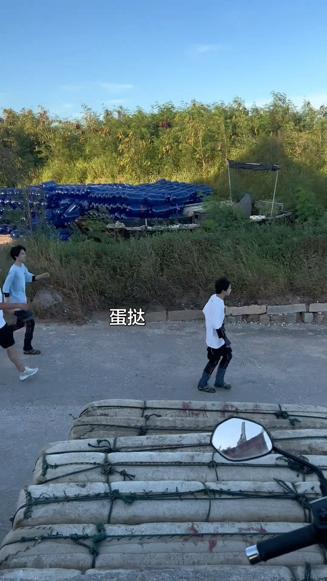 分享图片 ​​​
