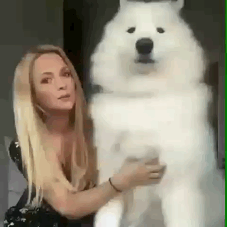 狗子爽得快绷不住了 