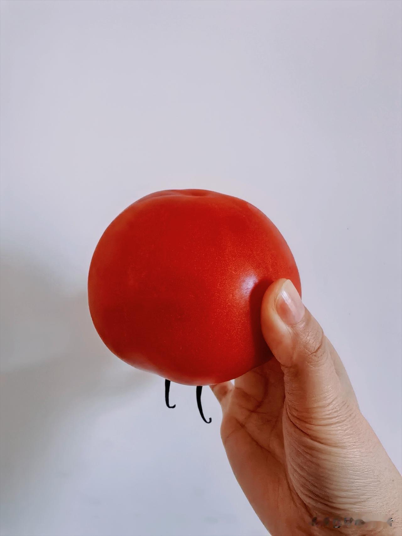 这是一个超标准的西红柿🍅
大一圈则甜，小一圈则酸
红得鲜亮，沙得香甜
看着就忍