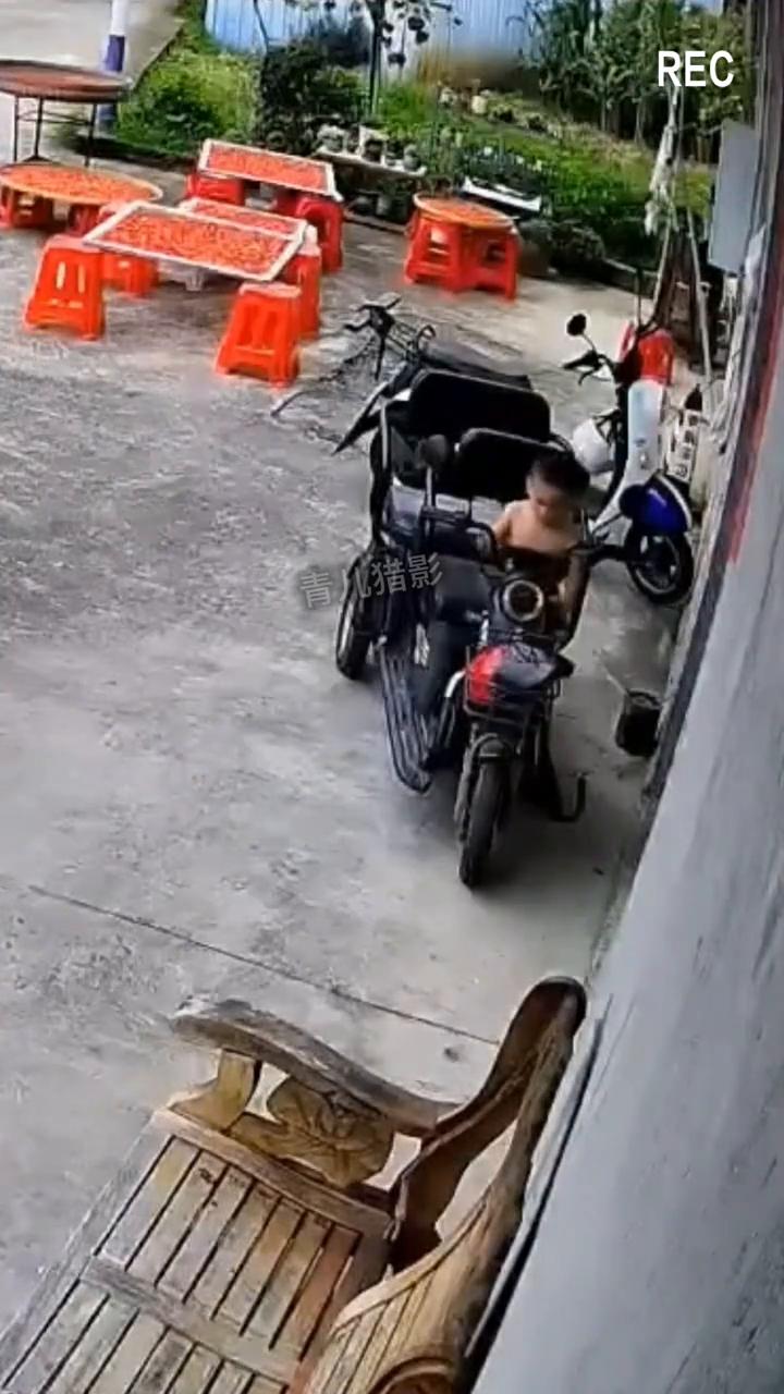 监控下一幕。
青儿猎影。