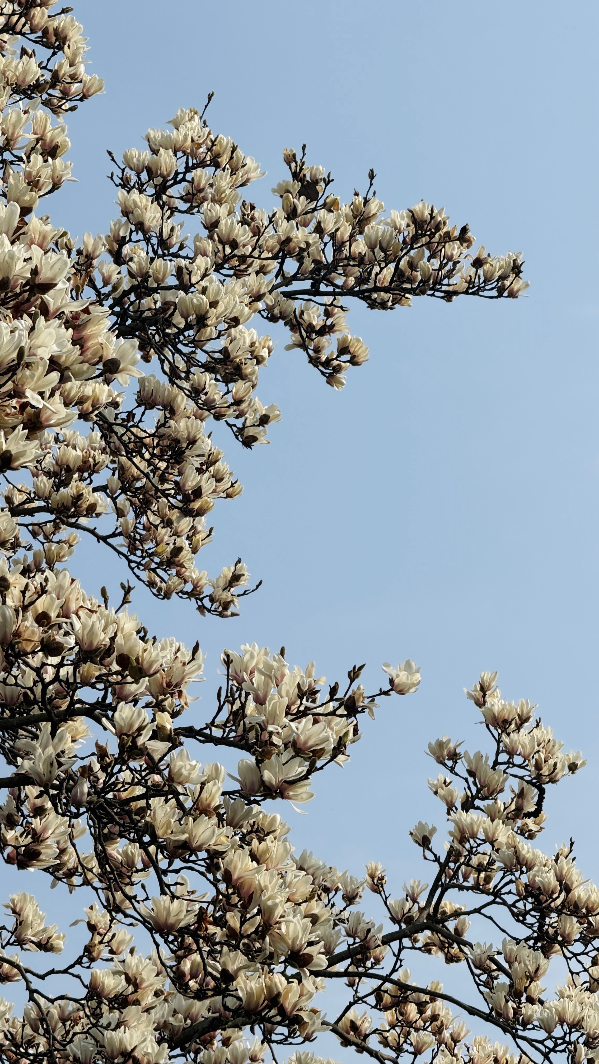 该怎么去形容周末去西湖的大错特错程度 杭州·太子湾公园