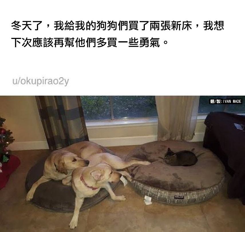 猫猫的地位[喵喵] ​​​