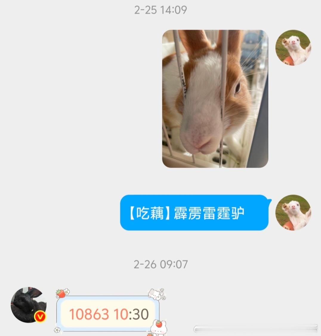 14091🐇【女大十八变】 