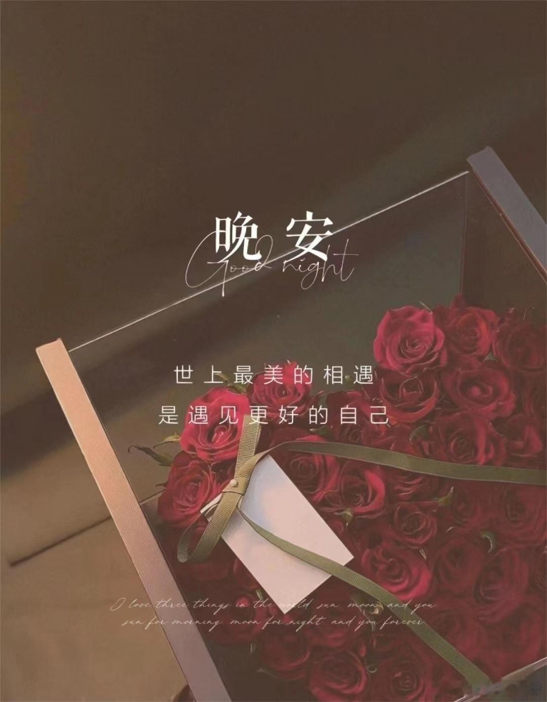 晚安 白天再难，晚上就是自己的时间。把委屈放一放，把疲惫卸一卸。床铺等着你，梦里