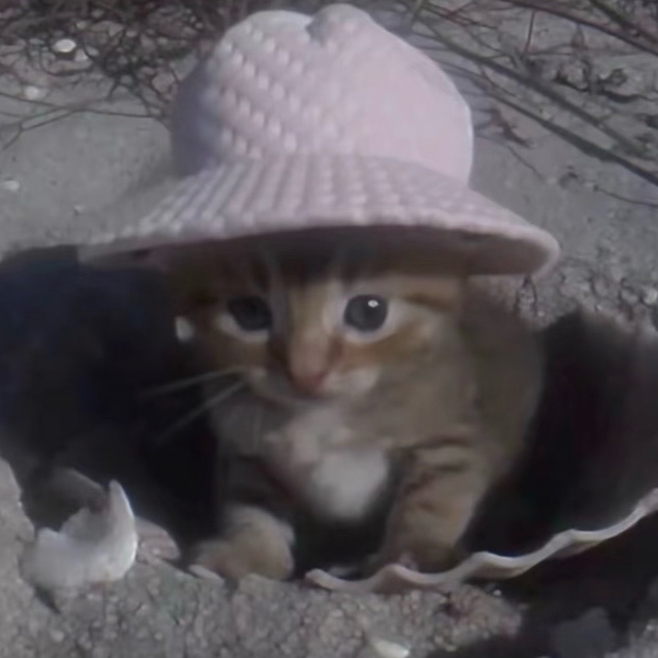 第一次对AI感到恐惧其实一直都有一种莫名的恐惧感可能跟恐怖谷效应类似？🤔 