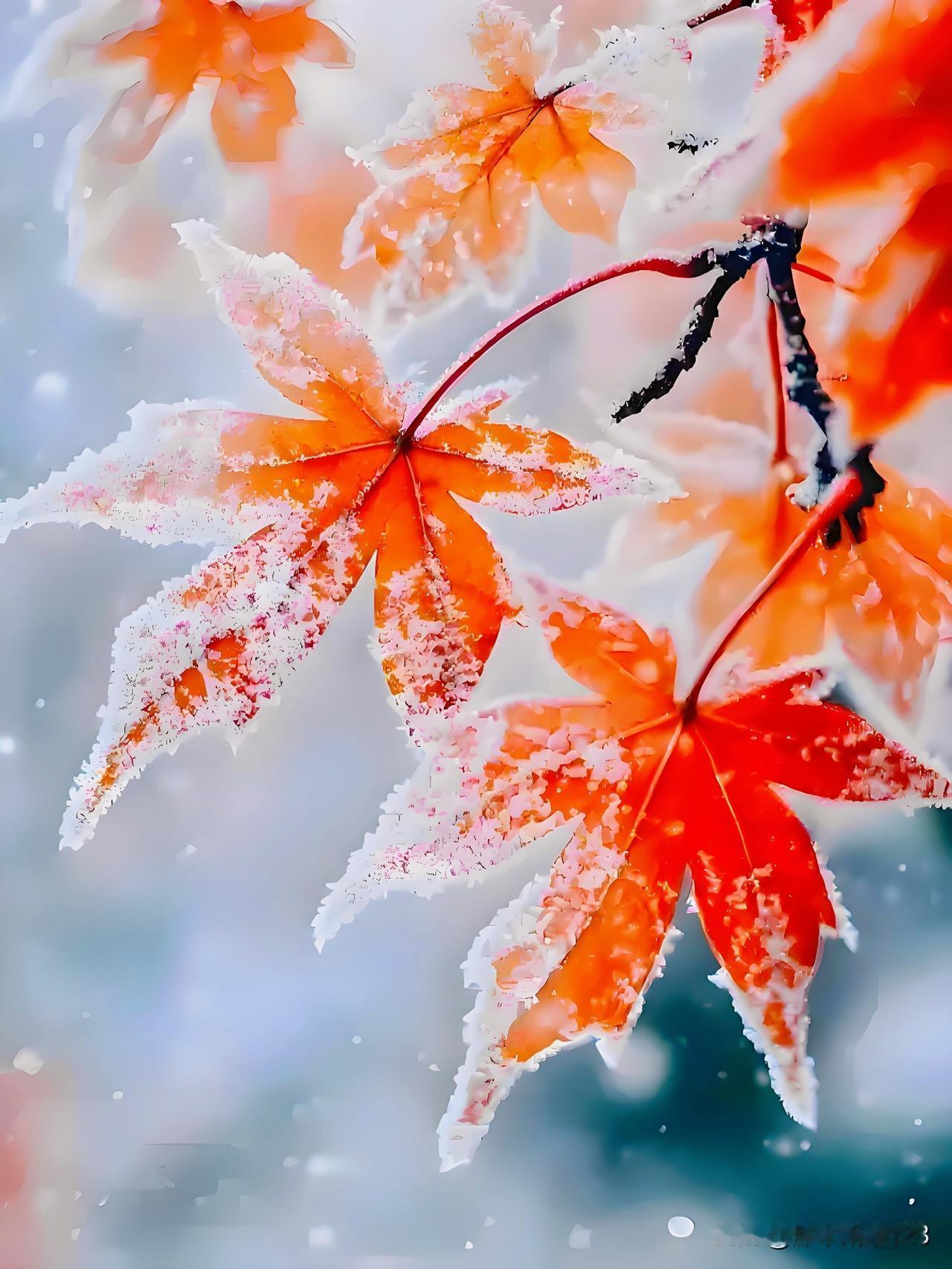 上联:秋霜催黄叶(平台)
下联:冬雪盖青山(原创)