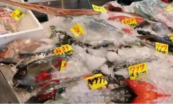 海鲜为何还能卖？日本排放核水后，奇怪的事发生了：刚开始各国对海鲜避之不及，如今 
