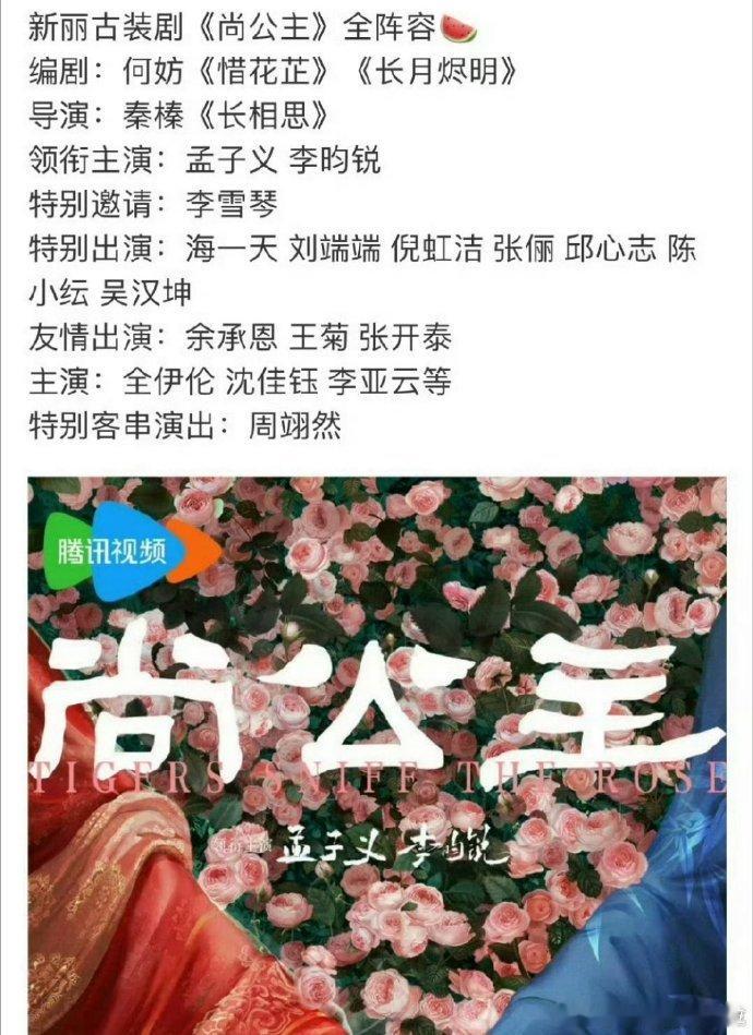 李雪琴和辣目洋子... 我真的不理解有偶像剧找她两。（可以在自己的赛道发光 但是