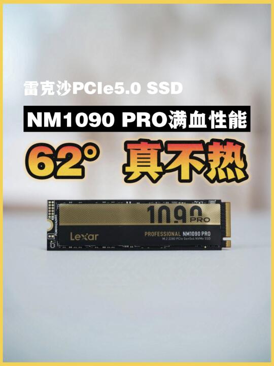 雷克沙NM1090 PCIe5.0 SSD评测 62度真不热