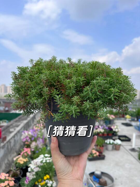 玩个游戏