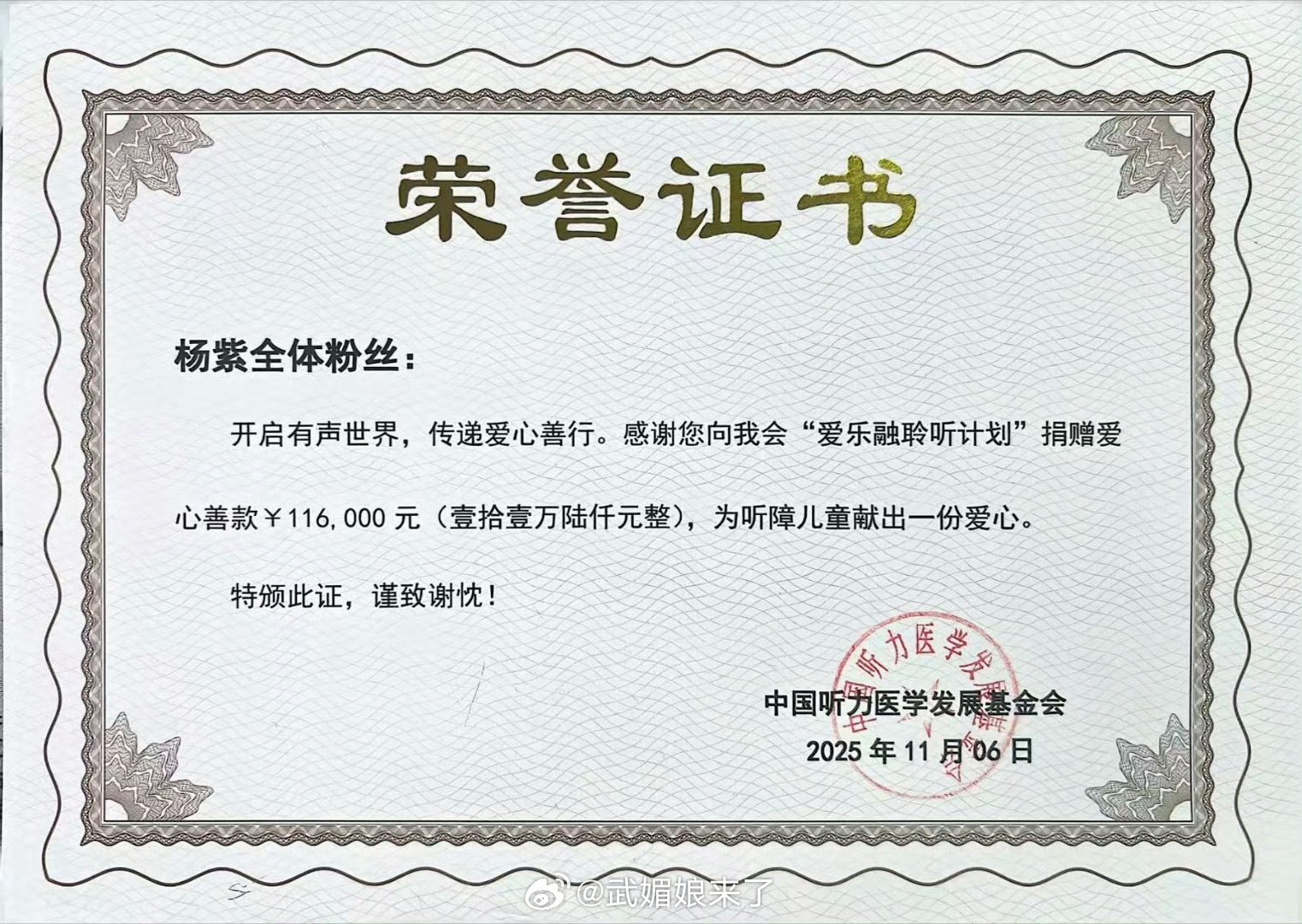 为庆祝杨紫生日，紫米们自发开展公益捐赠，目前总额已达11.6万元。粉丝追随偶像的