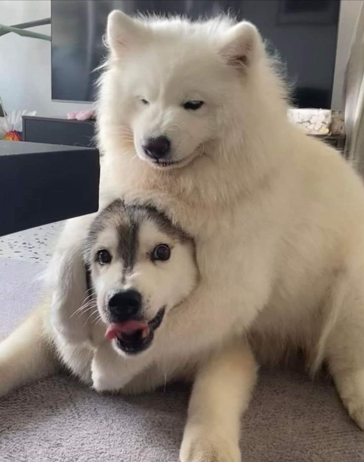 #蓝色监狱[超话]##蓝色监狱# 一模一样 ​​​