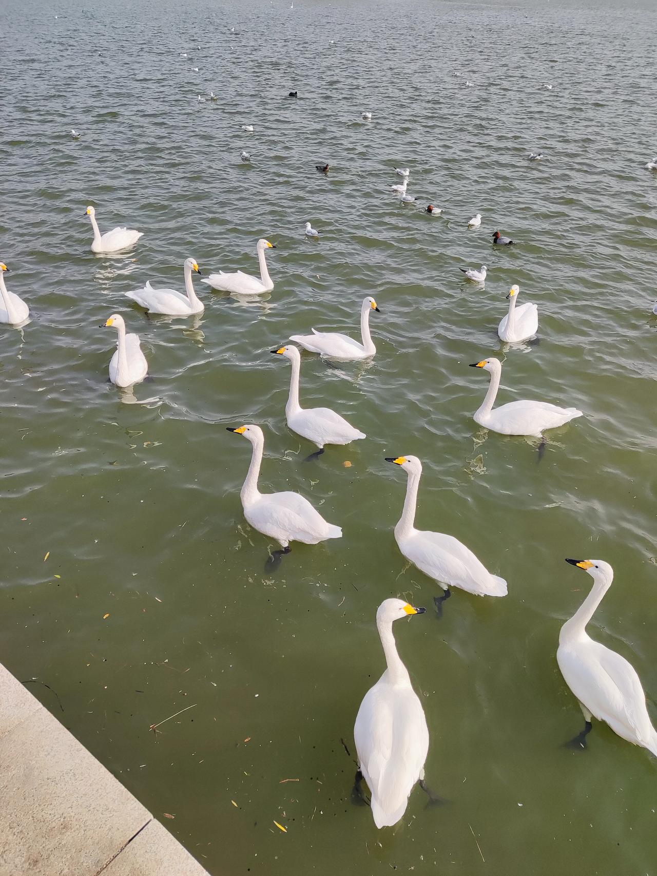 大道至简：国学智慧里的处世从容
 
在快节奏的现代社会，人们总被繁杂的琐事裹挟，