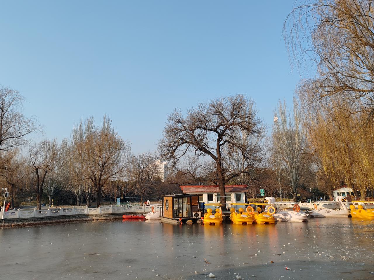 晒图笔记大赛冬月的景。