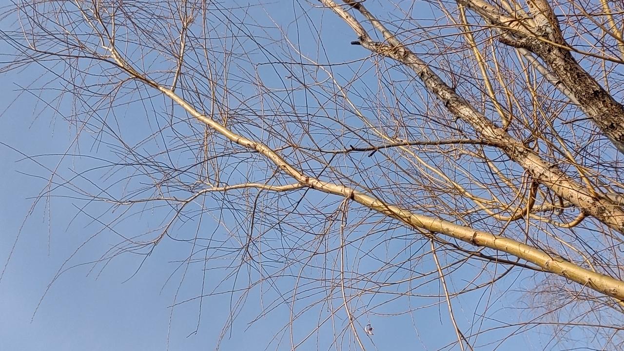 印度宣布，将超过日本成为世界第三大经济体，很多人嘲笑。
很快的事，只是宣布的早了