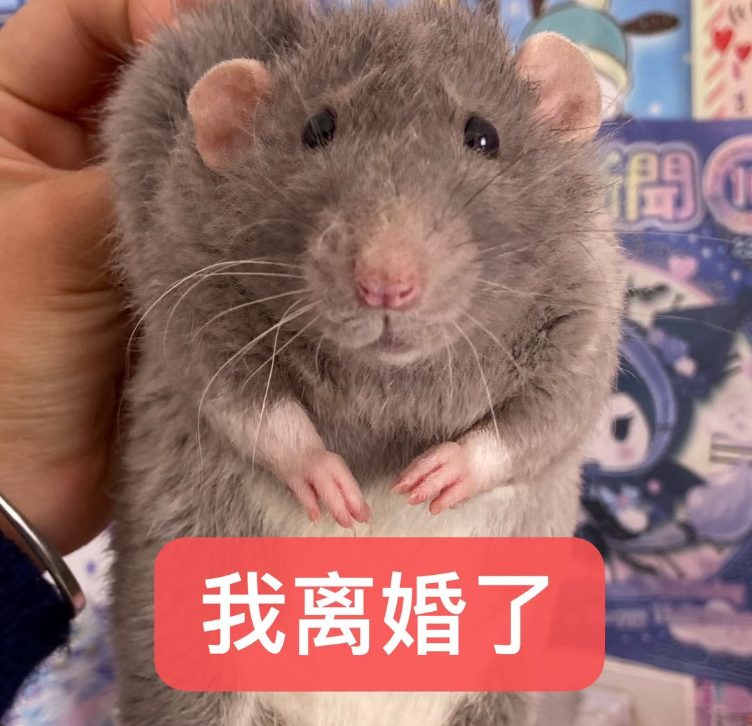 闻者落泪见者伤心 
