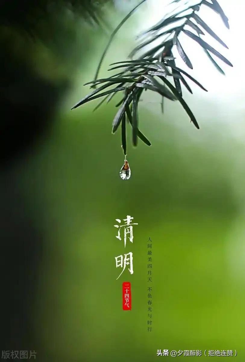 2026清明扫墓禁忌
 
慎终追远，礼敬为先。2026清明祭扫，这些千年禁忌不可