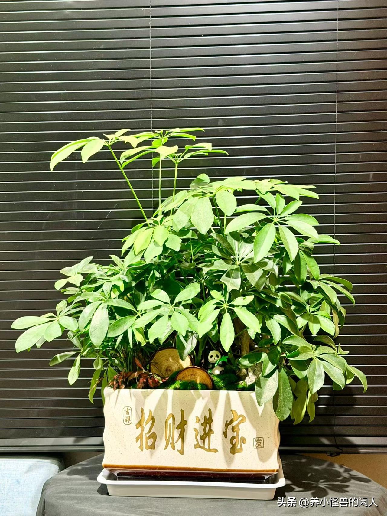公司已经烂透了，说这好那好，实际上一堆雷

行情不好了，业务缩水，利润下滑，领导